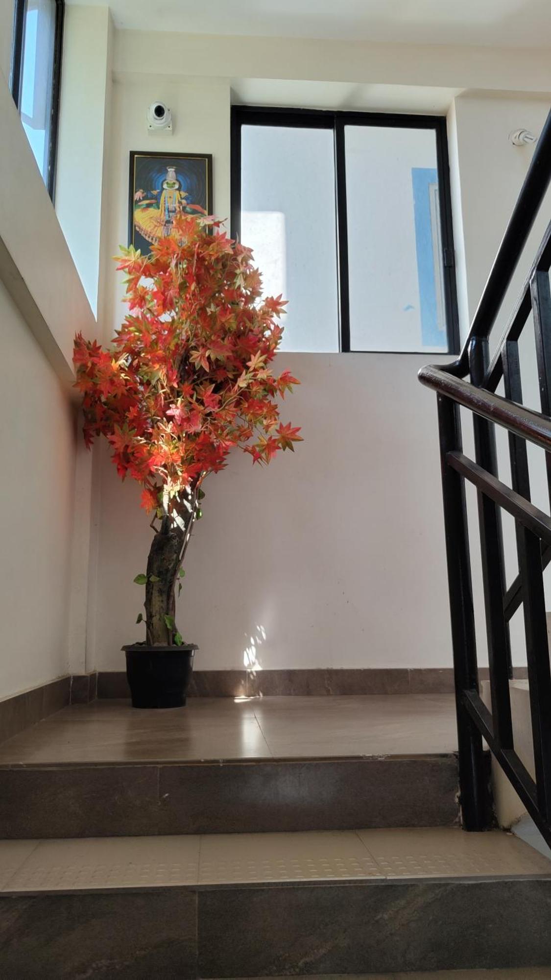 Masterkey Deluxe Rooms Kochi Exterior photo